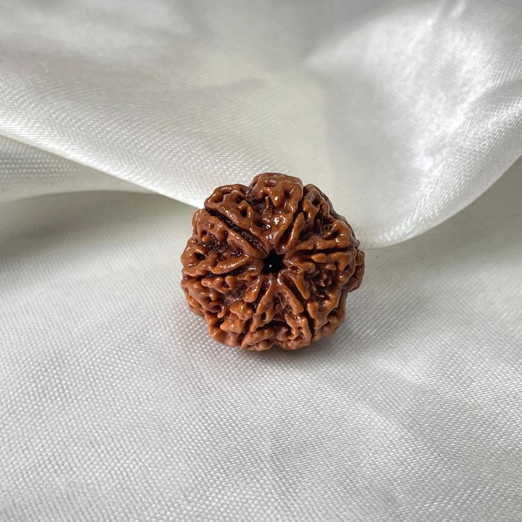 Original 6 Mukhi Rudraksha (Nepal) – Benefits, How to Wear, Price & Authenticity Guide