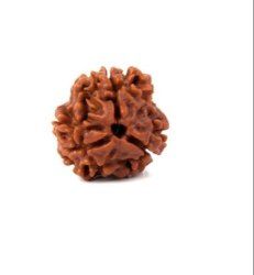 Original 3 Mukhi Rudraksha (Nepal) – Benefits, How to Wear, Price & Authenticity Guide